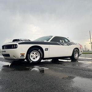 Meet your Posher, Nathalie